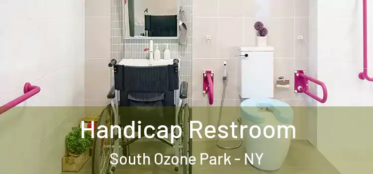  Handicap Restroom South Ozone Park - NY