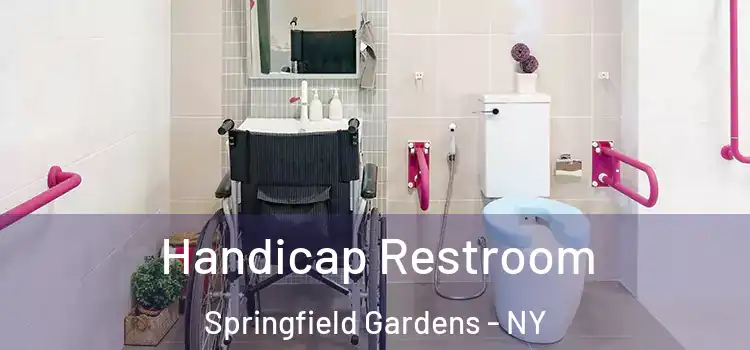 Handicap Restroom Springfield Gardens - NY
