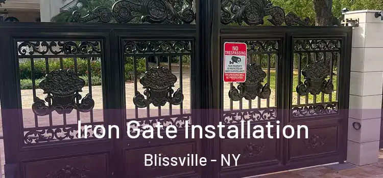  Iron Gate Installation Blissville - NY