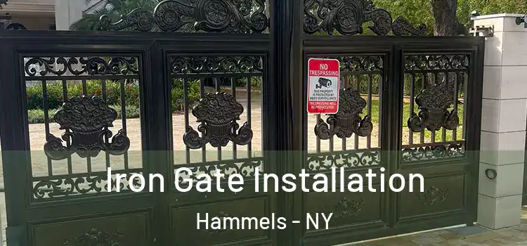 Iron Gate Installation Hammels - NY