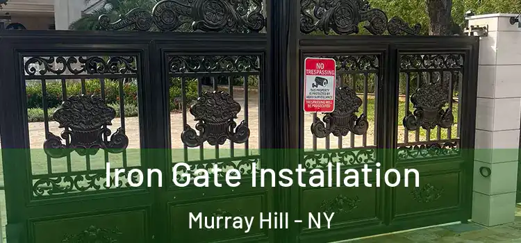 Iron Gate Installation Murray Hill - NY