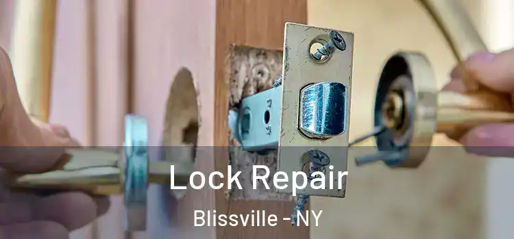  Lock Repair Blissville - NY