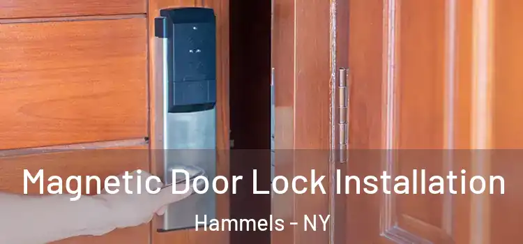  Magnetic Door Lock Installation Hammels - NY