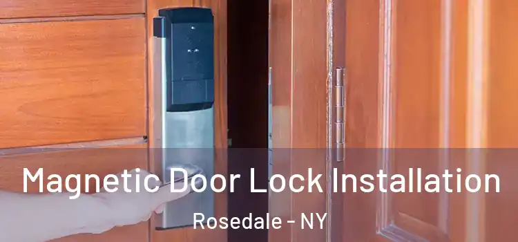  Magnetic Door Lock Installation Rosedale - NY