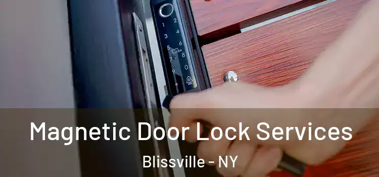 Magnetic Door Lock Services Blissville - NY