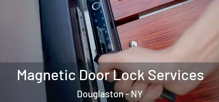 Magnetic Door Lock Services Douglaston - NY