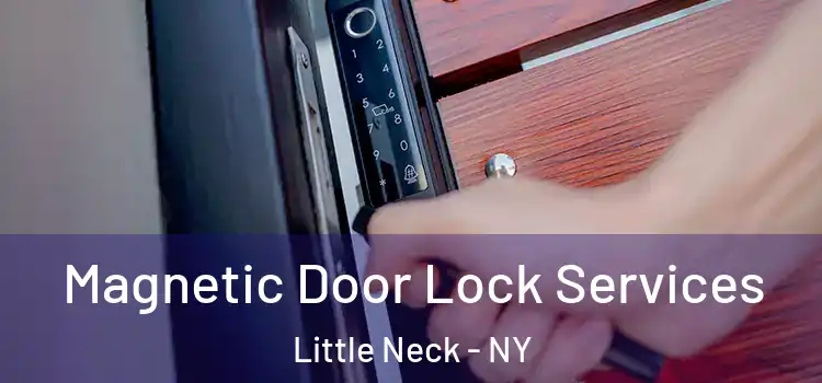 Magnetic Door Lock Services Little Neck - NY