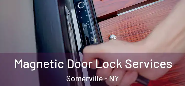 Magnetic Door Lock Services Somerville - NY