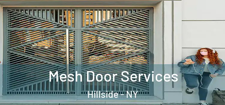 Mesh Door Services Hillside - NY