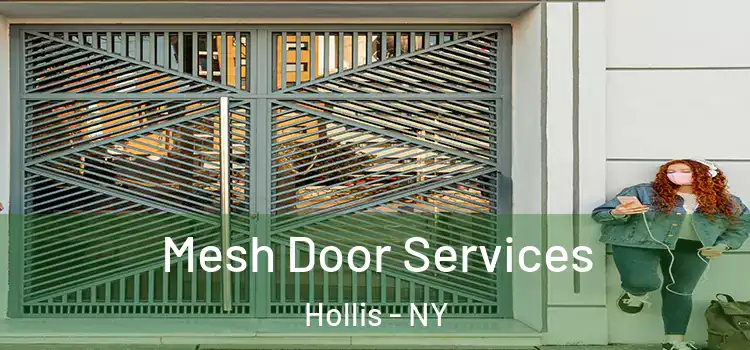 Mesh Door Services Hollis - NY