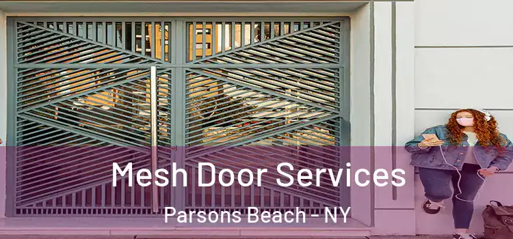 Mesh Door Services Parsons Beach - NY