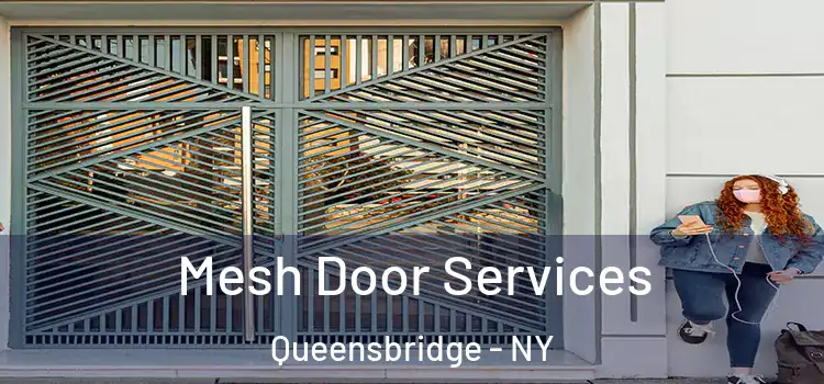  Mesh Door Services Queensbridge - NY