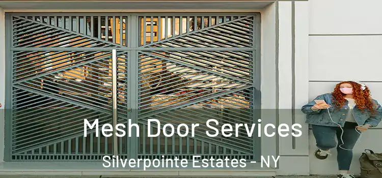Mesh Door Services Silverpointe Estates - NY
