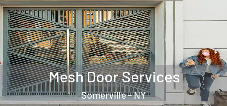  Mesh Door Services Somerville - NY