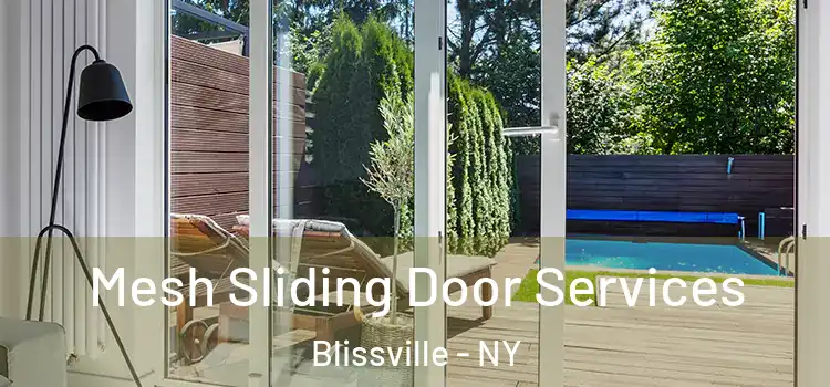  Mesh Sliding Door Services Blissville - NY