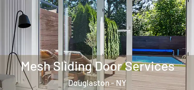 Mesh Sliding Door Services Douglaston - NY