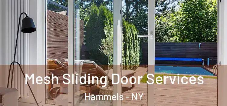 Mesh Sliding Door Services Hammels - NY