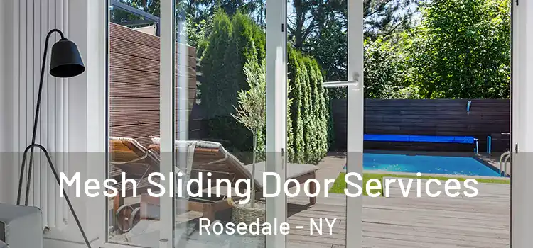 Mesh Sliding Door Services Rosedale - NY