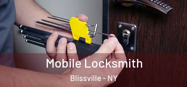 Mobile Locksmith Blissville - NY