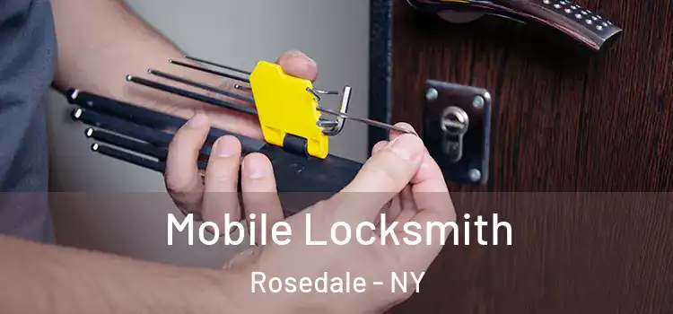 Mobile Locksmith Rosedale - NY
