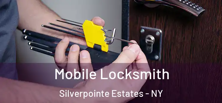 Mobile Locksmith Silverpointe Estates - NY