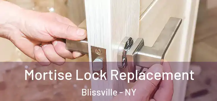Mortise Lock Replacement Blissville - NY