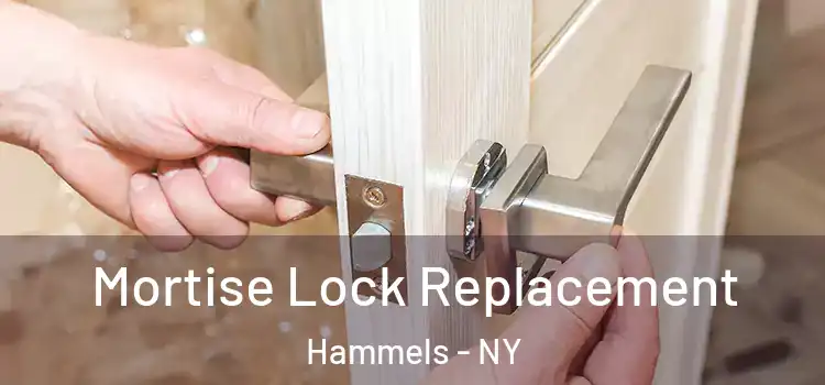 Mortise Lock Replacement Hammels - NY