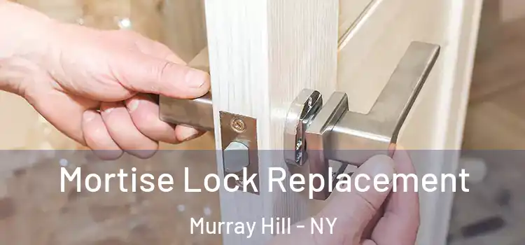  Mortise Lock Replacement Murray Hill - NY