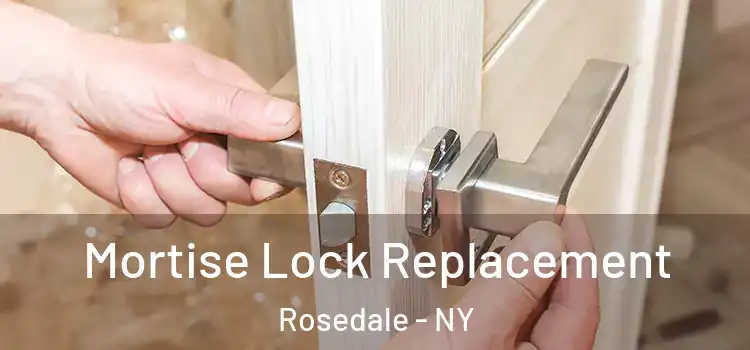  Mortise Lock Replacement Rosedale - NY