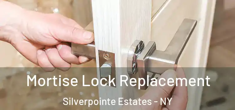 Mortise Lock Replacement Silverpointe Estates - NY