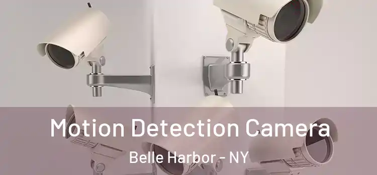  Motion Detection Camera Belle Harbor - NY