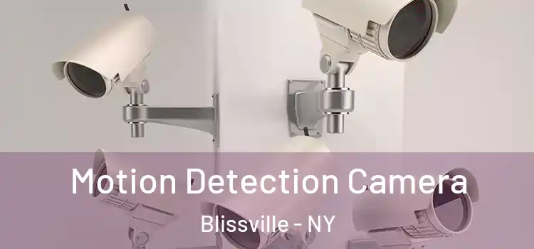  Motion Detection Camera Blissville - NY