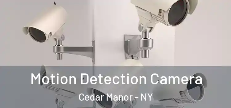  Motion Detection Camera Cedar Manor - NY