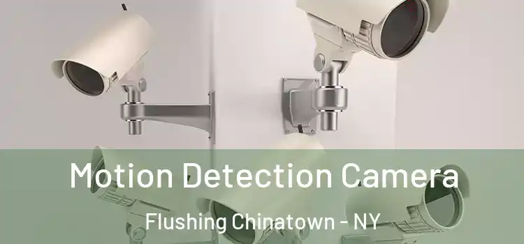  Motion Detection Camera Flushing Chinatown - NY