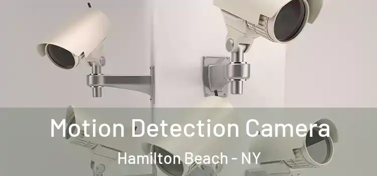  Motion Detection Camera Hamilton Beach - NY