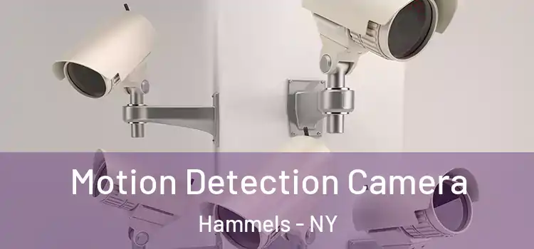  Motion Detection Camera Hammels - NY