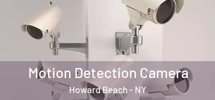  Motion Detection Camera Howard Beach - NY