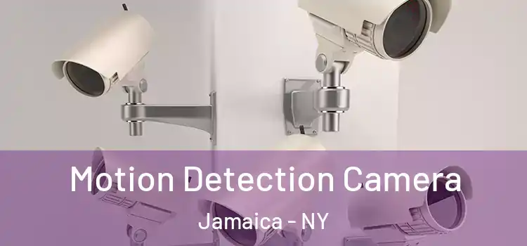  Motion Detection Camera Jamaica - NY