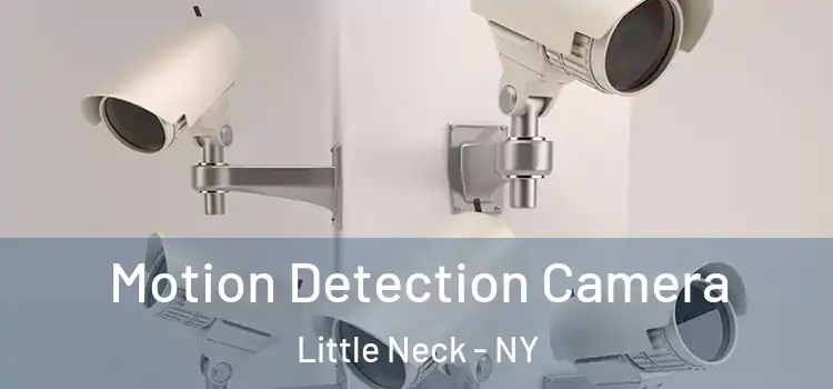  Motion Detection Camera Little Neck - NY