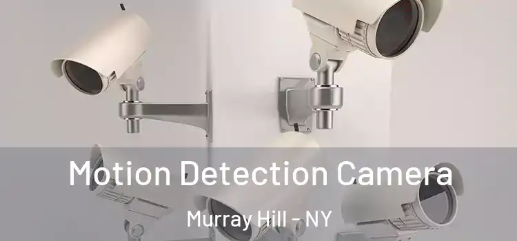  Motion Detection Camera Murray Hill - NY