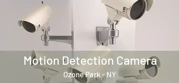  Motion Detection Camera Ozone Park - NY
