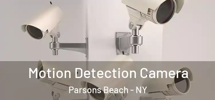  Motion Detection Camera Parsons Beach - NY