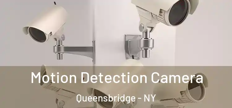  Motion Detection Camera Queensbridge - NY