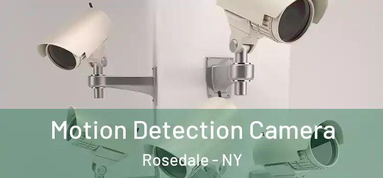  Motion Detection Camera Rosedale - NY