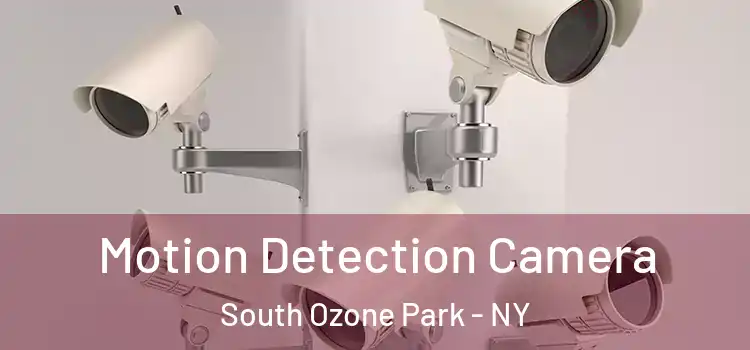  Motion Detection Camera South Ozone Park - NY