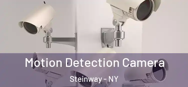  Motion Detection Camera Steinway - NY
