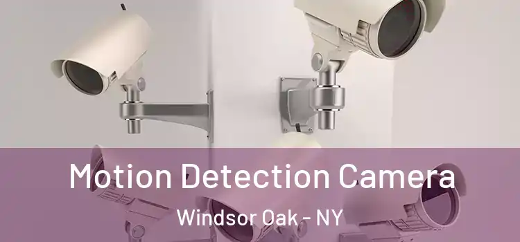  Motion Detection Camera Windsor Oak - NY