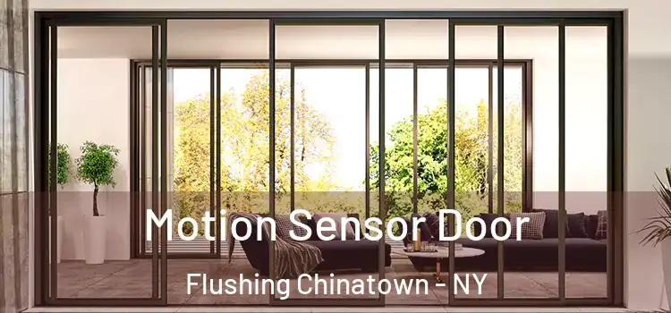 Motion Sensor Door Flushing Chinatown - NY