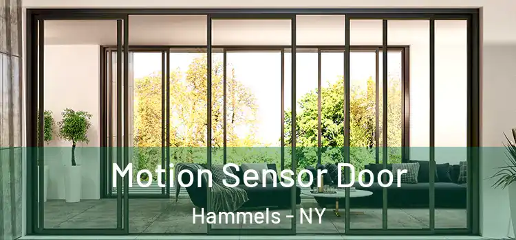 Motion Sensor Door Hammels - NY