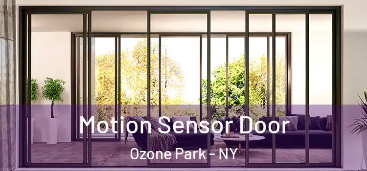 Motion Sensor Door Ozone Park - NY
